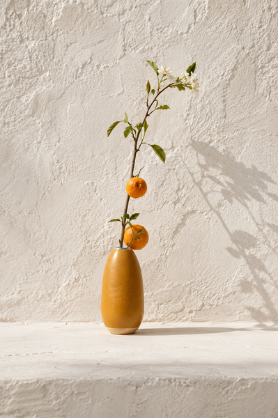 Harvest Bud Vase | Handmade Natural Gourd Vase